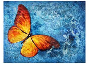 Fototapeta - Ohnivý motýľ