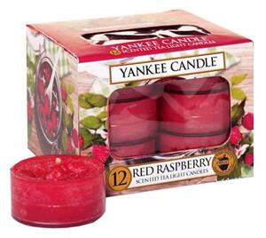Súprava 12 vonných sviečok Yankee Candle Red Raspberry, doba horenia 4 h