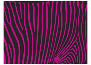 Fototapeta - Zebra vzor (fialová)