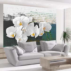 Fototapeta - Inšpirácia orchideami + zadarmo lepidlo - 200x154