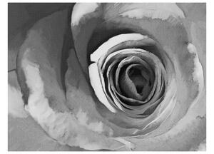 Fototapeta - Papierová ruža
