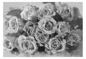 Fototapeta - Tucet ruží