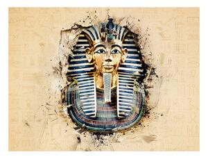 Fototapeta - Dôstojný faraón + zadarmo lepidlo - 250x193