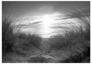 Samolepiaca fototapeta - Pláž (čiernobiela) 147x105