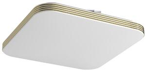 Stropné LED svietidlo Dabar, 1x LED 17w, 4000k, g