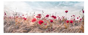 Obraz na plátne Styler Poppies, 60 x 150 cm