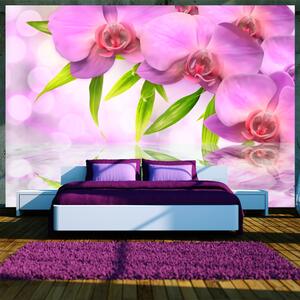 Fototapeta - Orchidey vo farbe lila + zadarmo lepidlo - 200x140