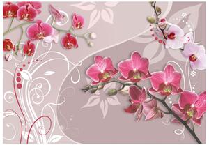 Fototapeta - Let ružových orchideí