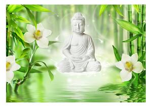 Fototapeta - Buddha a príroda + zadarmo lepidlo - 250x175