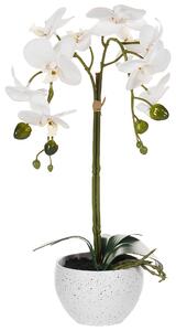 Umelá rastlina v kvetináči orchidea biela a zelená syntetický materiál 42 cm dekorácie doplnky interiér