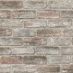 RASCH | Vliesová tapeta na stenu Timeless Selection 869002 | 0,53 x 10,05 m | šedá