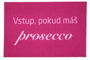 Mercury Flooring Rohožka Vstup pokiaľ máš Prosecco 40x60 cm - 40x60 cm