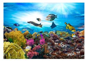 Samolepiaca fototapeta - Koralový útes 98x70