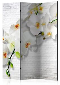 Paraván - Mestská orchidea 135x172