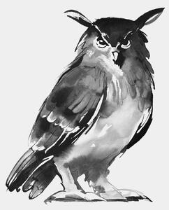 Teemu Järvi Plagát Eagle Owl 50x70