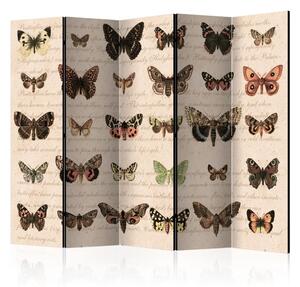 Paraván - Retro štýl: Motýle II 225x172