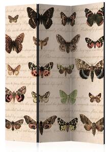 Paraván - Retro štýl: Motýle 135x172 135x172