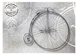 Fototapeta - Klasické bicykle - čiernobiele