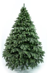 Borovica Aurora široká 3D 210cm
