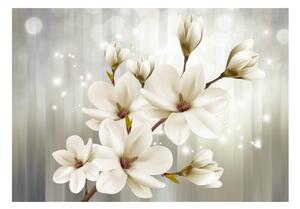 Fototapeta - Biele kvety + zadarmo lepidlo - 200x140 + zadarmo lepidlo - 200x140
