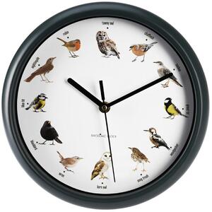 Nástenné hodiny Birds, biela/zelená