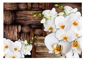 Fototapeta - Kvitnúce orchidey