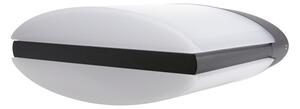 Osram Osram - LED Vonkajšie nástenné svietidlo ENDURA LED/13W/230V čierna IP44 P22524 + záruka 3 roky zadarmo
