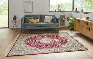 Nouristan - Hanse Home koberce Kusový koberec Naveh 104377 Red / Green - 195x300 cm