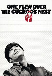 Ilustrácia One Flew Over the Cuckoo's Nest (1975)