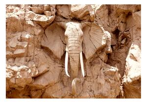 Samolepiaca fototapeta - Kamenný slon (Južná Afrika) 147x105