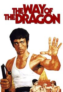 Ilustrácia The Way of the Dragon (1972)