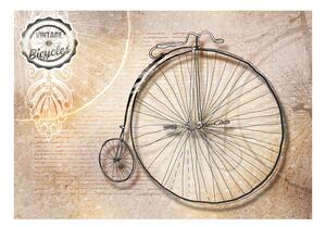 Fototapeta - Historické bicykle (sépie)