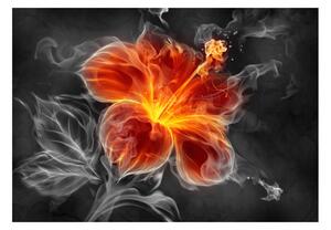 Fototapeta - Ohnivý kvet v dyme