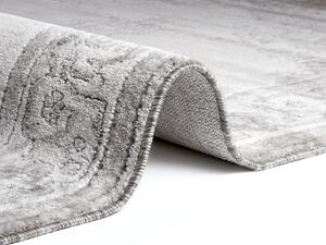 Nouristan - Hanse Home koberce Kusový koberec Provence 104626 Silver / Cream - 120x170 cm