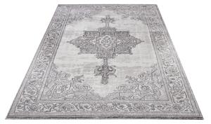 Nouristan - Hanse Home koberce Kusový koberec Provence 104626 Silver / Cream - 120x170 cm