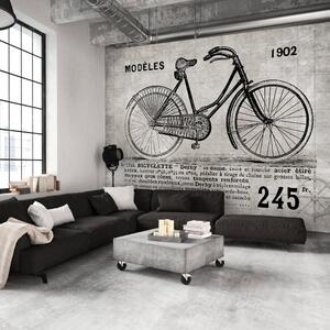 Fototapeta - Bicykel (Vintage) + zadarmo lepidlo - 250x175