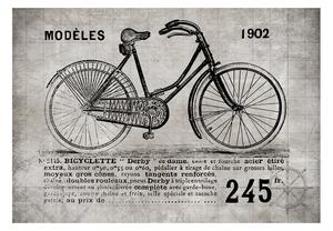 Fototapeta - Bicykel (Vintage) + zadarmo lepidlo - 250x175