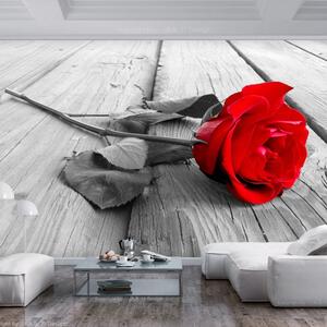 Fototapeta - Opustená ruža + zadarmo lepidlo - 200x140