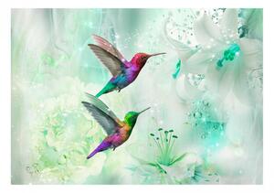 Fototapeta - Farebné kolibríky (zelené) + zadarmo lepidlo - 250x175