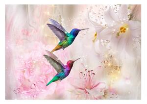 Samolepiaca fototapeta - Farebné kolibríky (ružové) 147x105