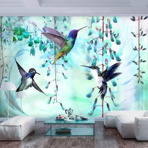 Fototapeta - Lietajúce kolibríky (zelené) + zadarmo lepidlo - 250x175