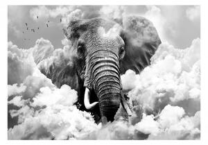 Fototapeta - Slon v oblakoch (čiernobiely) + zadarmo lepidlo - 250x175