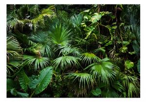Samolepiaca fototapeta - Slnečná džungľa 196x140