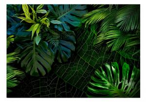 Samolepiaca fototapeta - Temná džungľa 147x105