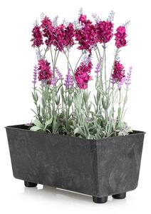 PLASTOVÝ KVETINÁČ SALVIA 28,5X17 CM IMITÁCIA BETÓNU ČIERNA