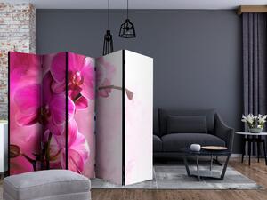 Paraván - Ružová orchidea II