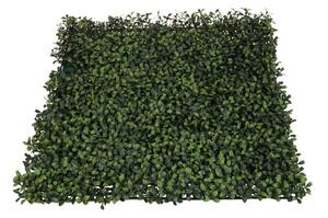 Umelý živý plot- buxus 50cm x 50cm