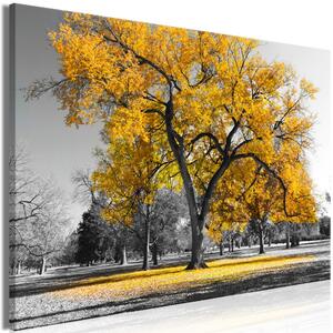 Obraz - Jeseň v parku - zlatá II 90x60