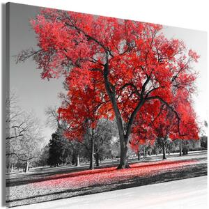 Obraz - Jeseň v parku - červená 90x60