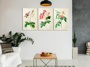 Obraz - Kvetinové trio (kolekcia) 60x30